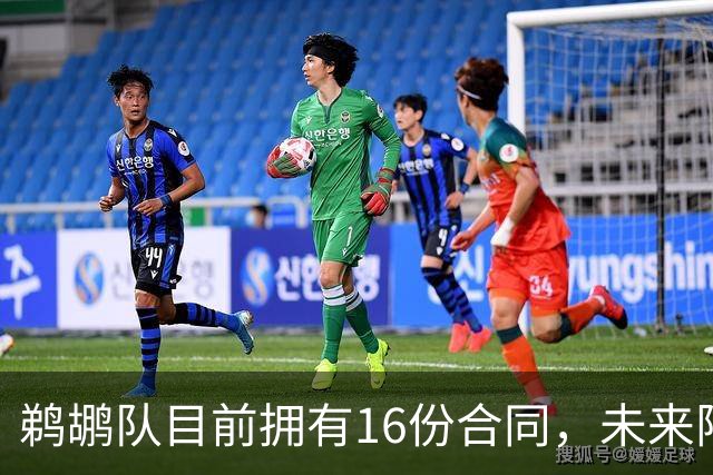 鹈鹕队目前拥有16份合同，未来阵容仍将调整